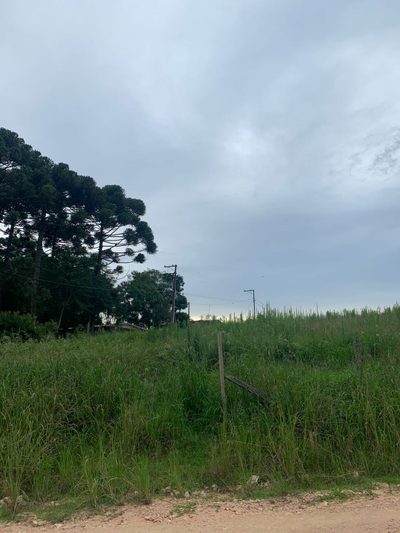Terreno, 2400 m² - Foto 3