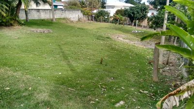 Terreno, 1220 m² - Foto 1