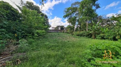 Terreno, 1000 m² - Foto 3