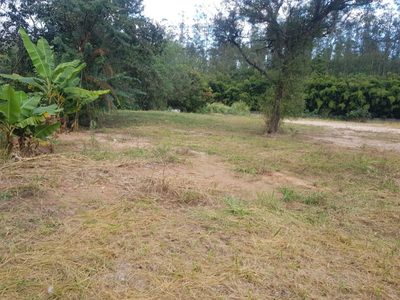 Terreno, 8000 m² - Foto 3