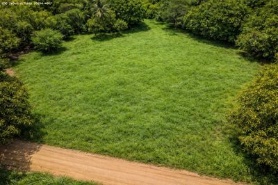 Fazenda, 2500 m² - Foto 1