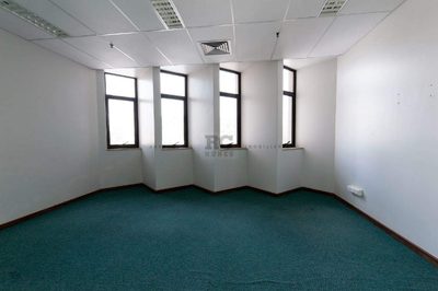 Sala-Conjunto, 560 m² - Foto 2