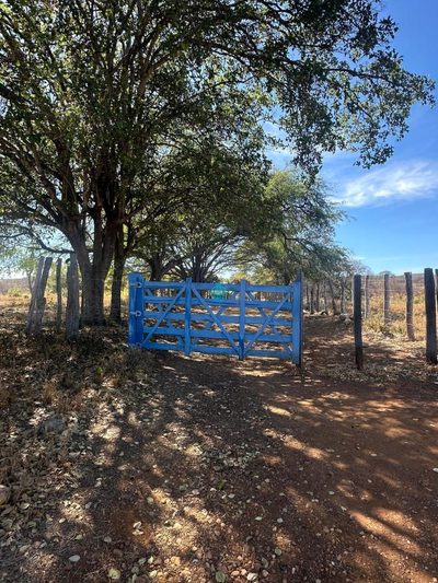 Fazenda, 63 hectares - Foto 2