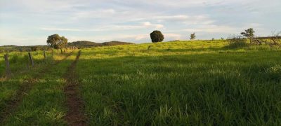 Chácara - Foto 4