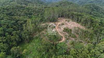 Sítio, 1 quarto, 8 hectares - Foto 1