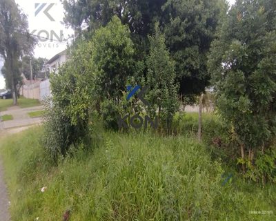 Terreno, 2572 m² - Foto 2