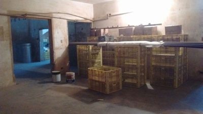 Depósito-Galpão, 500 m² - Foto 3