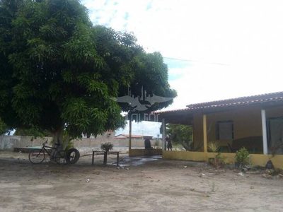 Sítio, 3 quartos, 6534 m² - Foto 2