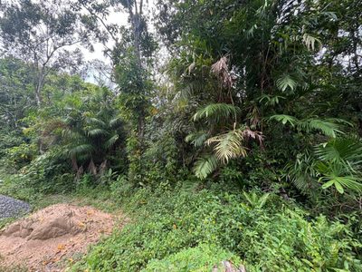 Terreno, 1000 m² - Foto 2