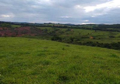 Chácara, 1 quarto, 251 hectares - Foto 4