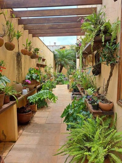 Casa, 4 quartos - Foto 1