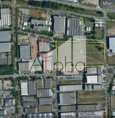 Terreno, 3 hectares - Foto 3