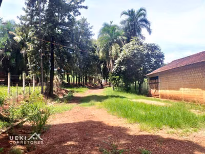 Fazenda, 169 hectares - Foto 2