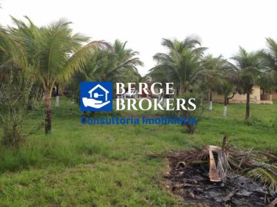 Terreno, 1 hectares - Foto 3
