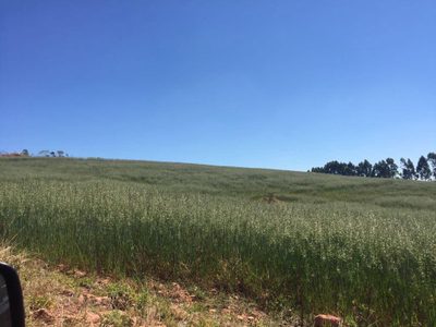 Fazenda, 179 m² - Foto 2