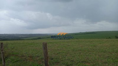 Fazenda, 213 hectares - Foto 1
