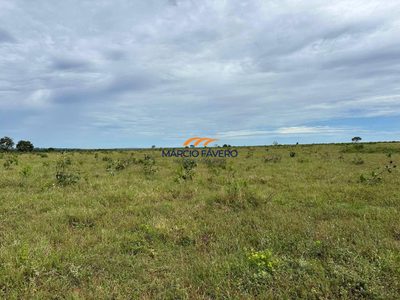 Fazenda, 590 hectares - Foto 1