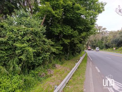 Terreno, 14 hectares - Foto 2