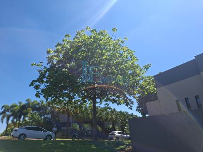 Terreno, 505 m² - Foto 4