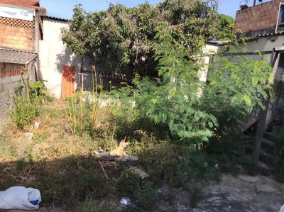 Casa, 3 quartos, 360 m² - Foto 4