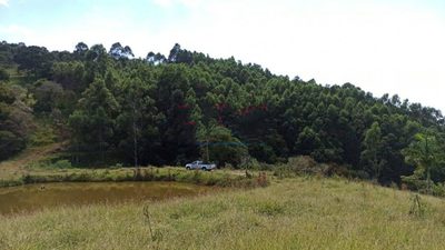 Fazenda, 29 hectares - Foto 5