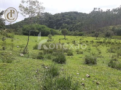 Fazenda, 300 m² - Foto 4