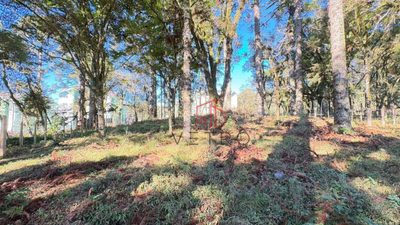 Terreno, 407 m² - Foto 1