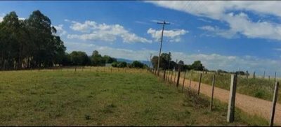 Chácara, 2 quartos, 2 hectares - Foto 4