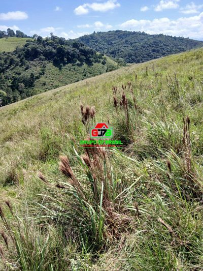 Terreno - Foto 1