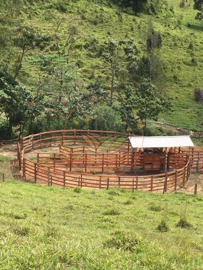 Fazenda, 3 quartos - Foto 4