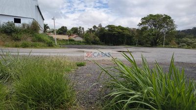 Terreno, 5300 m² - Foto 4