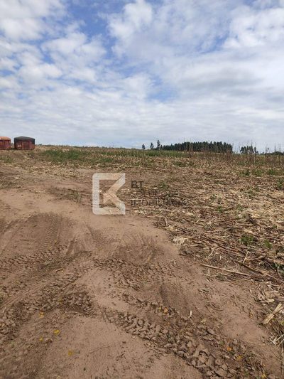 Sítio, 2 hectares - Foto 1