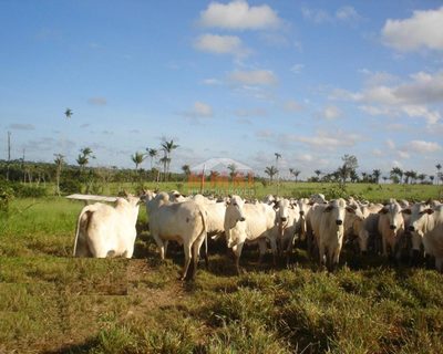 Fazenda, 1 quarto - Foto 2