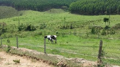 Fazenda, 500 m² - Foto 2