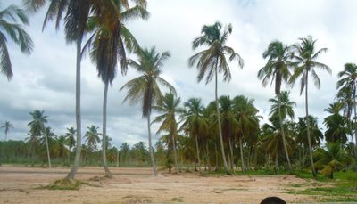 Terreno, 400 m² - Foto 3