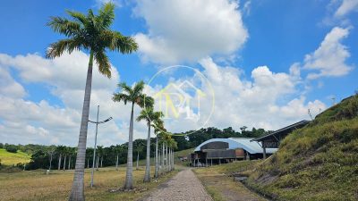 Fazenda, 240 m² - Foto 3