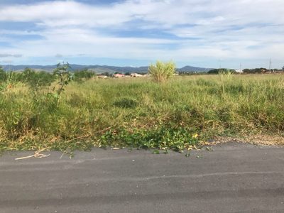 Terreno, 125 m² - Foto 4