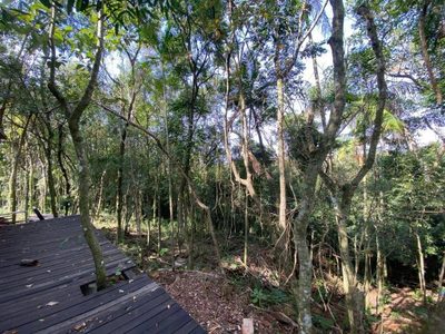 Chácara, 1 quarto, 2 hectares - Foto 3