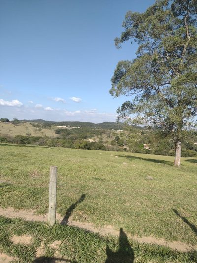Terreno - Foto 3