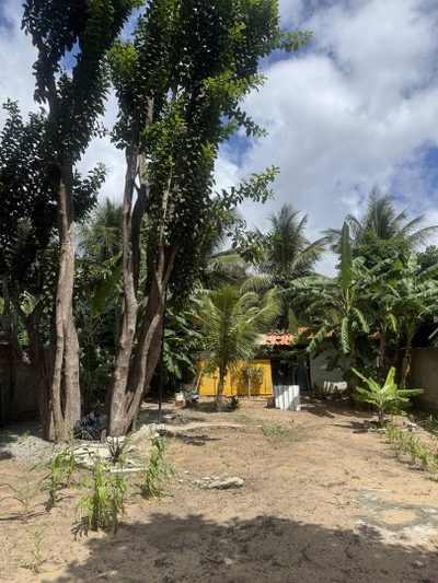 Terreno, 300 m² - Foto 3