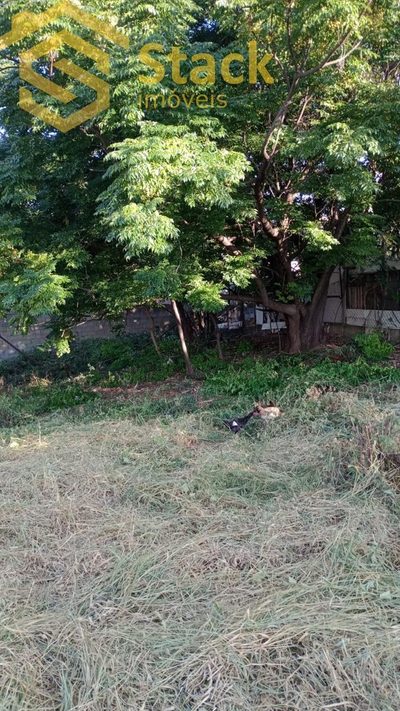 Terreno, 1000 m² - Foto 5