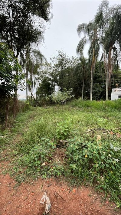 Terreno, 1000 m² - Foto 2