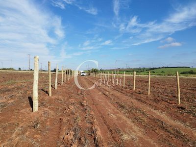 Terreno, 2 m² - Foto 3