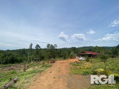 Chácara, 2 quartos, 2 hectares - Foto 2