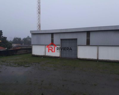 Depósito-Galpão, 2000 m² - Foto 3