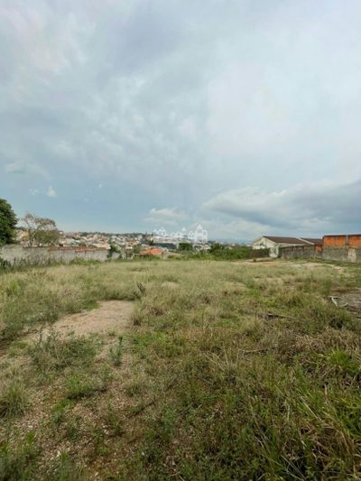 Terreno, 22 hectares - Foto 5