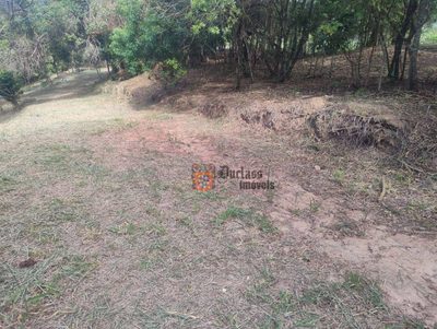 Loteamento e Condomínio, 2 hectares - Foto 4