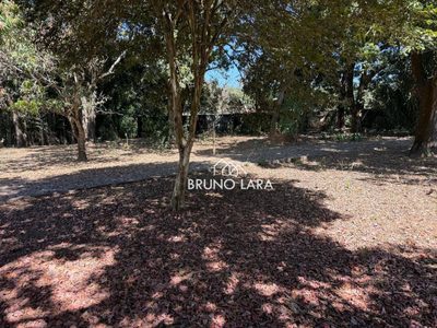 Terreno, 2 hectares - Foto 4
