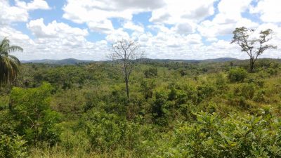 Terreno, 7 hectares - Foto 2