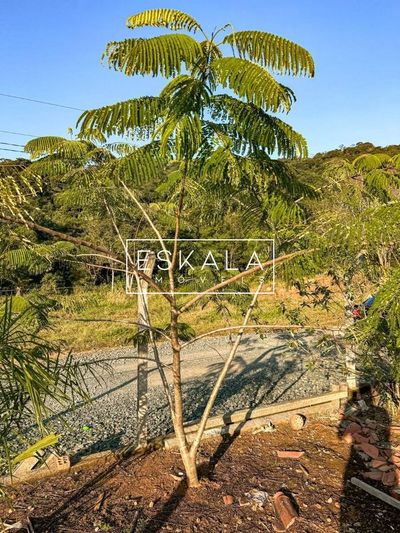 Chácara, 3 quartos, 3000 m² - Foto 2